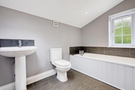 img_4988_15 copy 2.jpg