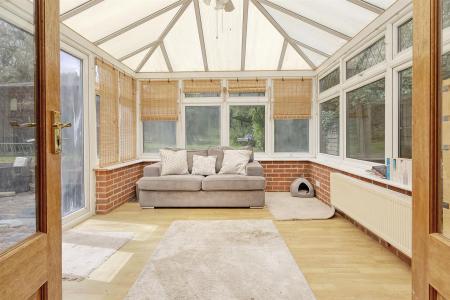 19_img_6546_13 copy.jpg