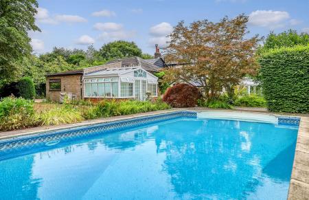 img_7358_33 copy.jpg