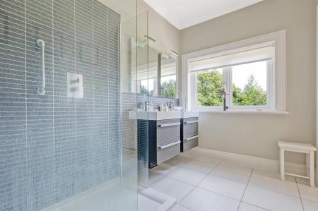 IMG_4577_9 copy 2.jpg