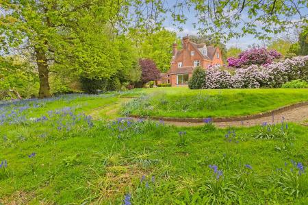 DJI_20240430150009_0766_D copy.jpg