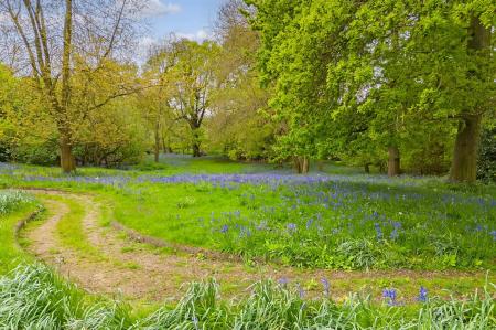 DJI_20240430150201_0767_D copy.jpg