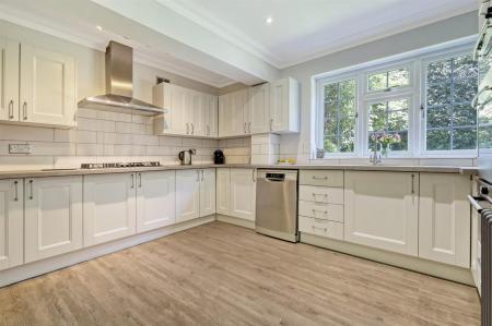 img_9529_19 copy 2.jpg