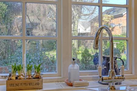 img_3661_16 copy 2.jpg