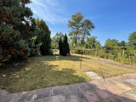 Patio View