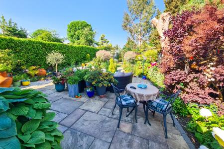 Patio and Garden