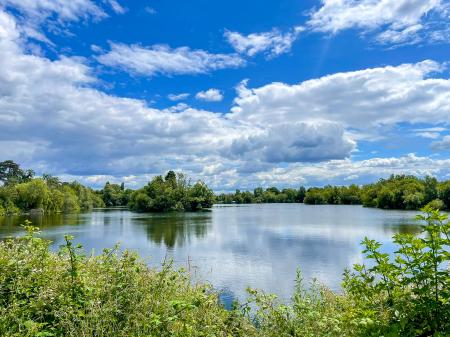 Lake Views