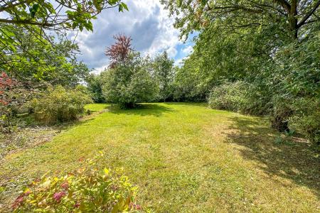 Rear part of Garden