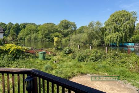 View from terrace