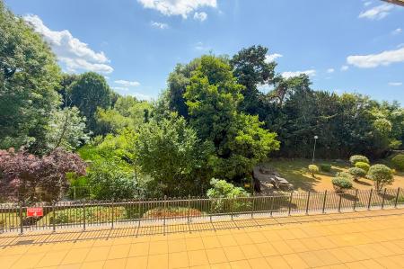 Communal grounds. View from living room