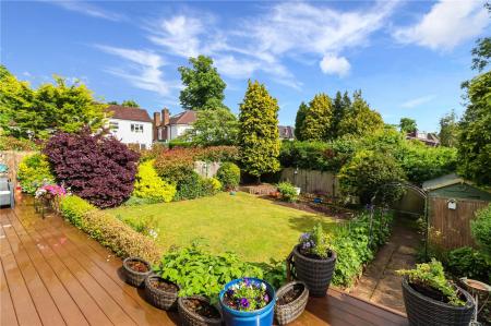 Elevated Garden View