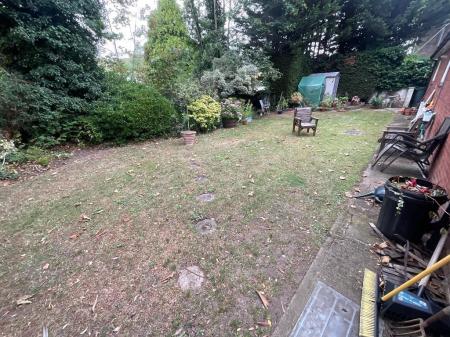 Photo 11