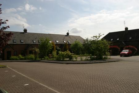 IMG_9965.JPG