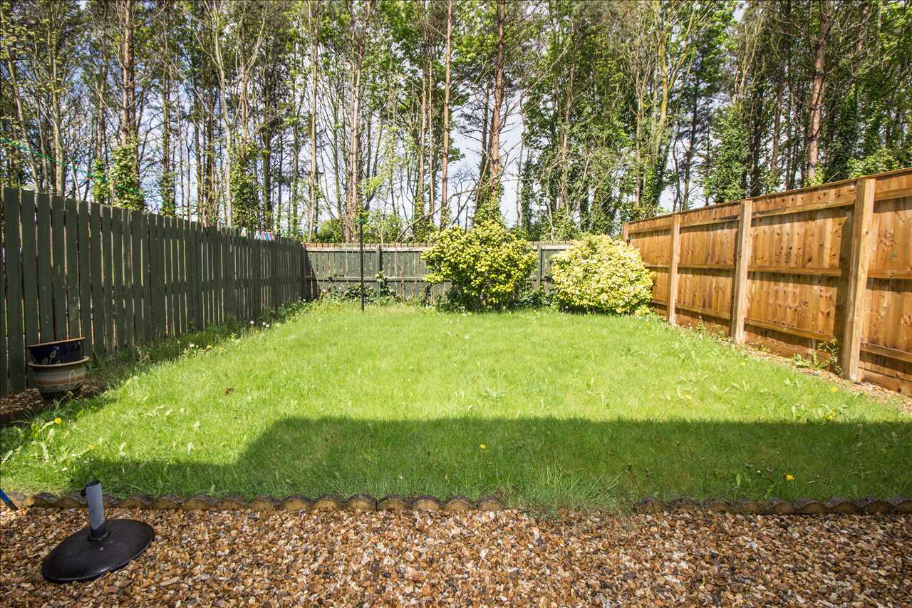 3 bedroom SemiDetached House for rent in Cramlington