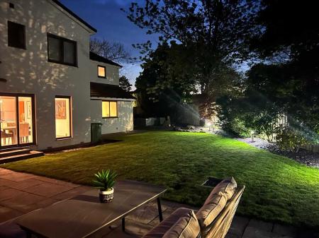 Rear Garden at Night