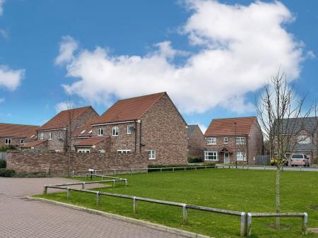 image28