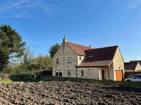 image15