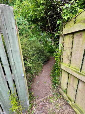image17