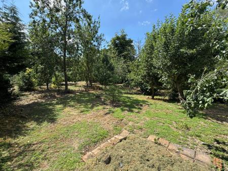 image4