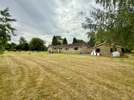 image14