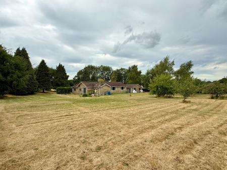 image15