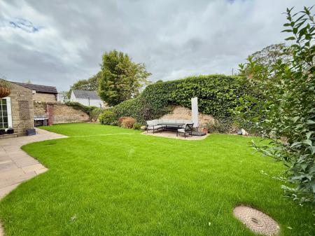 image29