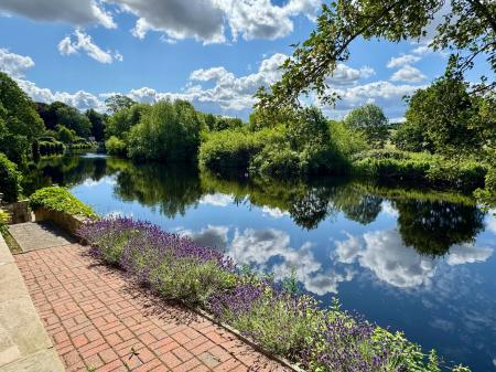 image24