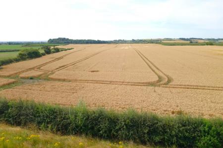 ARABLE LAND CROPWELL BUTLER