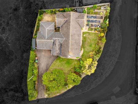 Little Orchard-11.jpg