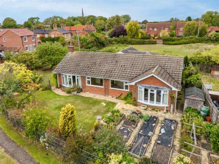 Little Orchard-10.jpg