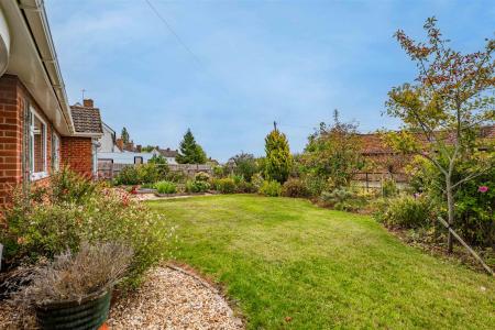 Little Orchard-05.jpg