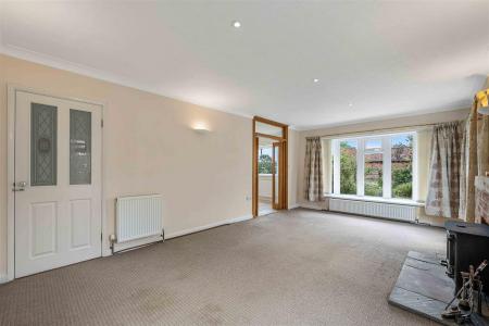 Little Orchard-10.jpg