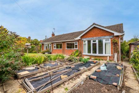 Little Orchard-03.jpg