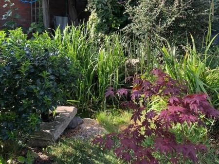 Vendor photos June 25 -3.jpg