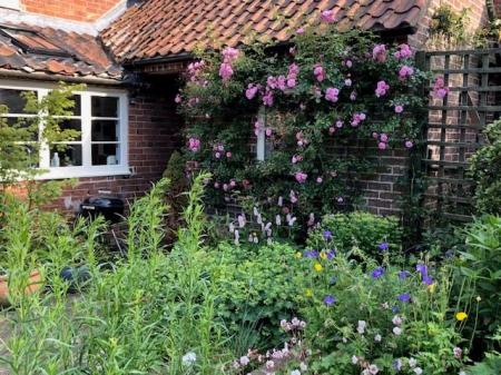 Vendor photos June 25 -1.jpg