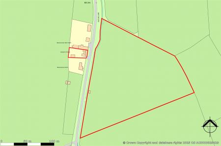 Autumn Chae, site plan.jpg