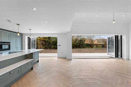 P1547756-Edit.jpg