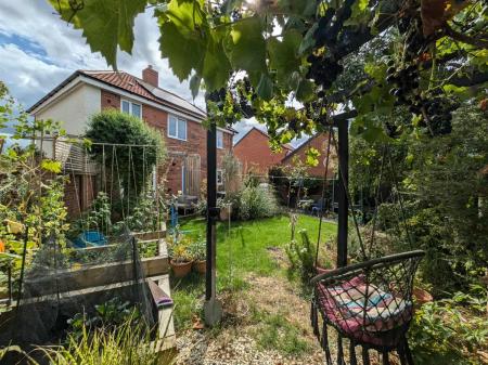 garden1.jpg