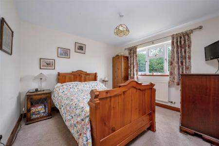 Autumn Chase WEB PH-42.jpg