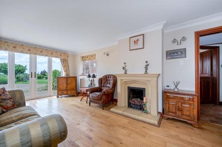 Autumn Chase WEB PH-36.jpg