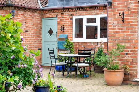 Autumn Chase WEB PH-29.jpg