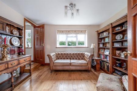 Autumn Chase WEB PH-38.jpg