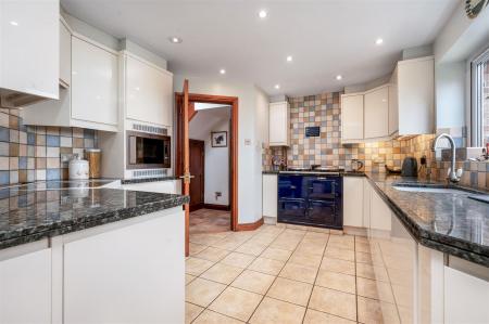 Autumn Chase WEB PH-31.jpg