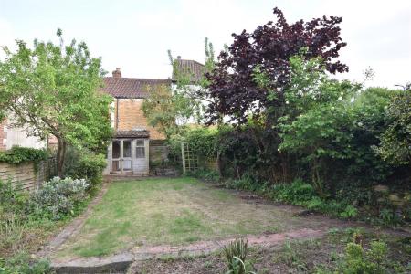 New garden 2.JPG