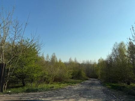 Pic 1.jpg