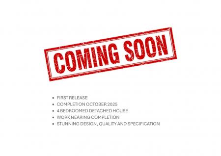 Coming Soon Page-1.jpg