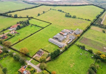 Rose Farm Norton Disney (10B of 12).jpg