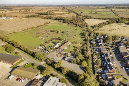 Little Jacks PH-2.jpg