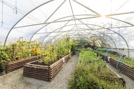 Little Jacks PH-69.jpg