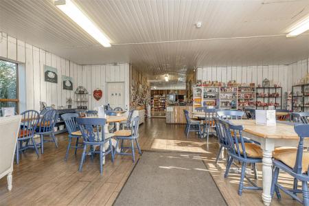 Little Jacks PH-39.jpg